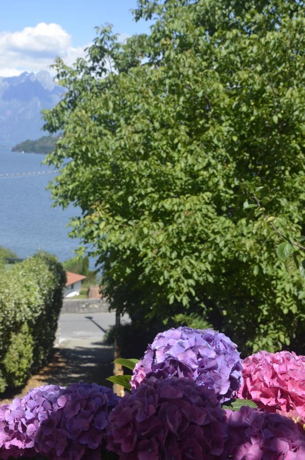 Anma Cottages The Secret Garden Pianello Del Lario Eksteriør billede