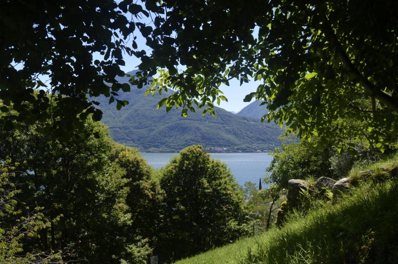 Anma Cottages The Secret Garden Pianello Del Lario Eksteriør billede