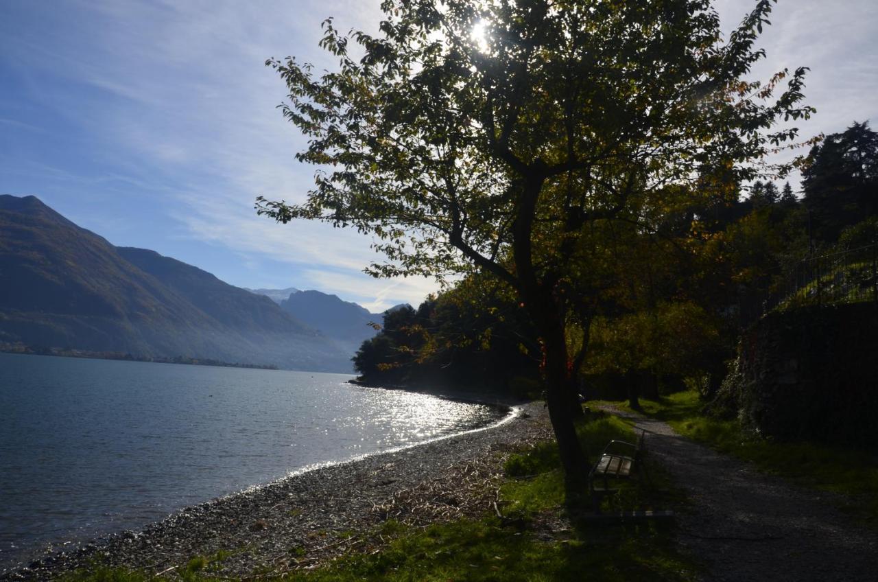 Anma Cottages The Secret Garden Pianello Del Lario Eksteriør billede